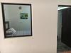 Anfibio�s House