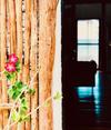 Villa Casa Emily-tulum Beach House!