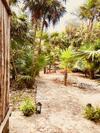 Villa Casa Emily-tulum Beach House!