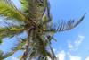 Los Amigos Beach Hotel Boutique