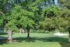 Pointe Royale Luxury Ground-floor 2bdr Condo (61-2)