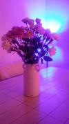Apartamento Vinton Chalet