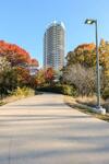 Apartamento Explore Dallas Near Turtle Creek & Trail | Parking