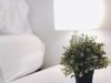 5bd/3ba Entire House | 15+ Beds | Sleeps 20+