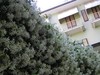 Hotel Cappelli