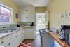 The Flying Squirrel