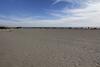 103 H Tidewater