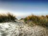 Seascape 317