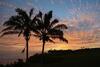 Apartamento (kk208-2) Kauai Kailani, 2 Bedroom