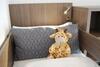 Dom Hotel Am R�merbrunnen