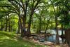 Apartamento 5 O'clock Somewhere! Wwh302 Condo