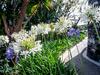 Villa Quinta Girassol By Ourmadeira