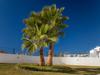 A26 - Afonso V Apartment