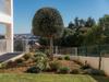 A26 - Afonso V Apartment