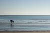 Lazuli Beach Apartment 209