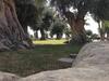 Agroturismo Castello Crisilio