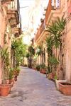 Apartamento Il Moro Casa Vacanze