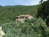 Villa Locazione Turistica Zen