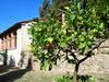 San Casciano Dei Bagni Villa Sleeps 4 Air Con Wifi