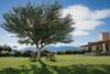Hotel Vi�as De Cafayate Wine Resort