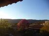 Casa R�