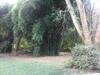 Hostal Calcada Sao Jose
