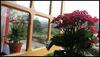 Hostal Pousada Nascer Do Sol