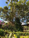 Hostal Jardim De Minas