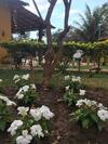 Hostal Jardim De Minas
