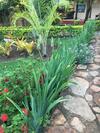 Hostal Jardim De Minas