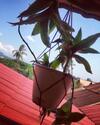 Hostal Stay In Kampot