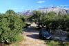 Apartamentos Studio Lumbarda 9298a