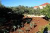 Apartamentos Studio Lumbarda 9298a