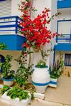 Apartamento Blue Sky