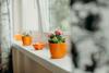 Ktk Stysia