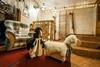 Apartamento Rentplanet - Willa Bachled�wka
