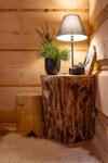 Apartamenty Willa Olsza