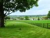 Beningborough