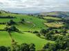 Tyn Llwyn, Llangollen