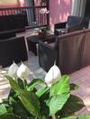 Hotel Storione