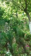 Hostal Antica B & B Samarkand