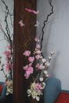Room In Three Bedroom Flat