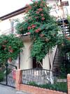 Hostal Cottage U Evgenii