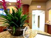 Hotel Desert Paradise Resort