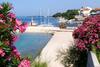 Apartment Brodarica 5736a