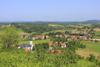 Apartments With A Parking Space Rakovica (karlovac) - 15514