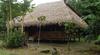 Posada Dolphin Lodge Napo River