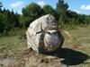 Agroturismo Mardi Farm Stay