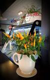 Hostal Tristvere Guesthouse-cafe