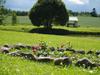 K�nda Holiday Home